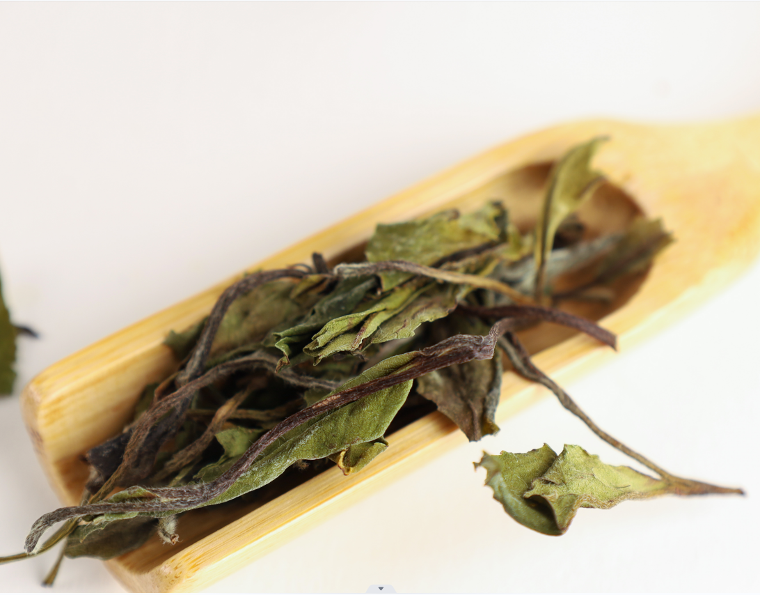 Fu ding White tea-Pai Mu Tan